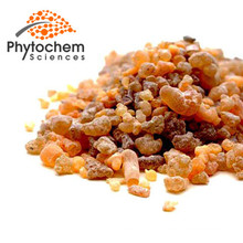 High quality gum myrrh extract Ratio 10 to 1